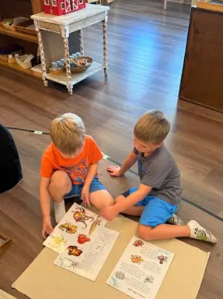 Early Childhood 23