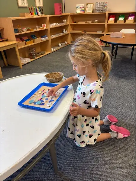Elementary 5