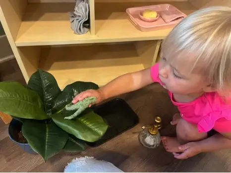 Toddler 5